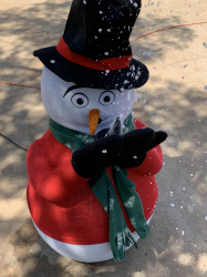 IMG 3069 1750374991 Snowman